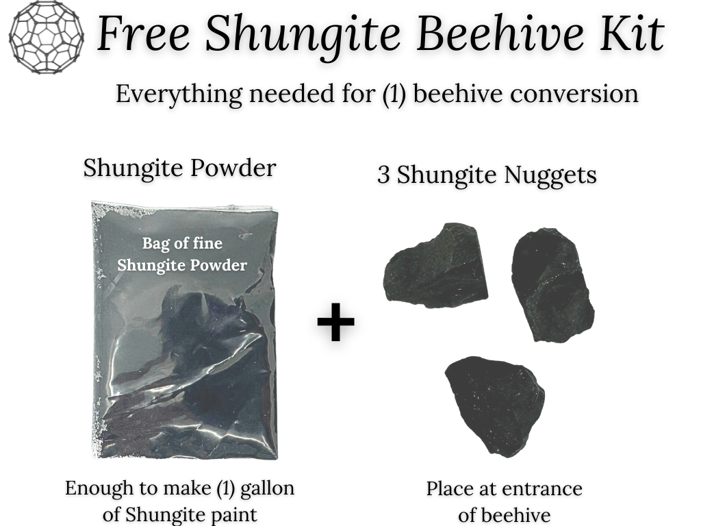 A transparent bag labeled 'Bag of fine Shungite Powder' next to three pieces of Shungite rock on a white background.