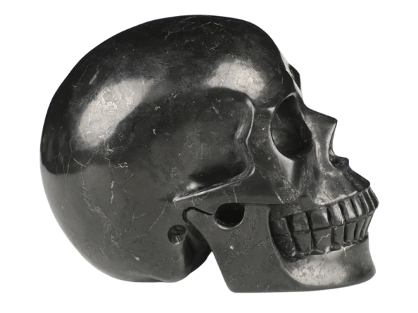 Shungite Skull