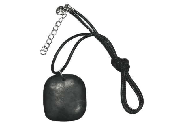 Shungite Pendant