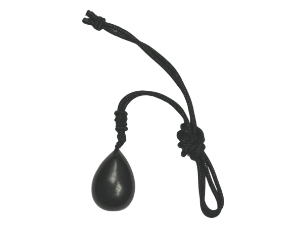 Shungite Tear Drop Pendant