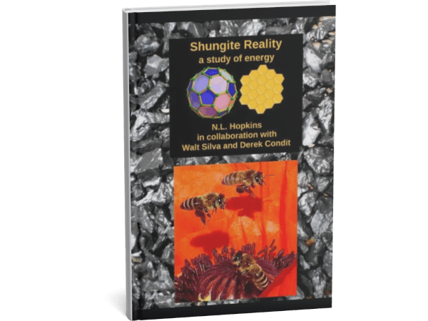 Shungite Reality Book