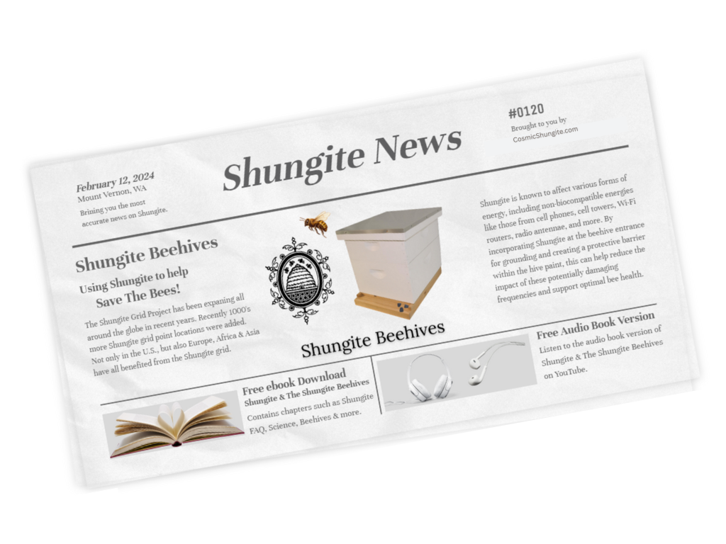 A newspaper article titled 'Shungite News' discussing Shungite beehives and their benefits. The article includes a beehive image, information about using Shungite to help bees, and offers an ebook and audio book download options.