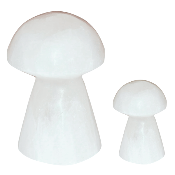 Selenite Mushroom