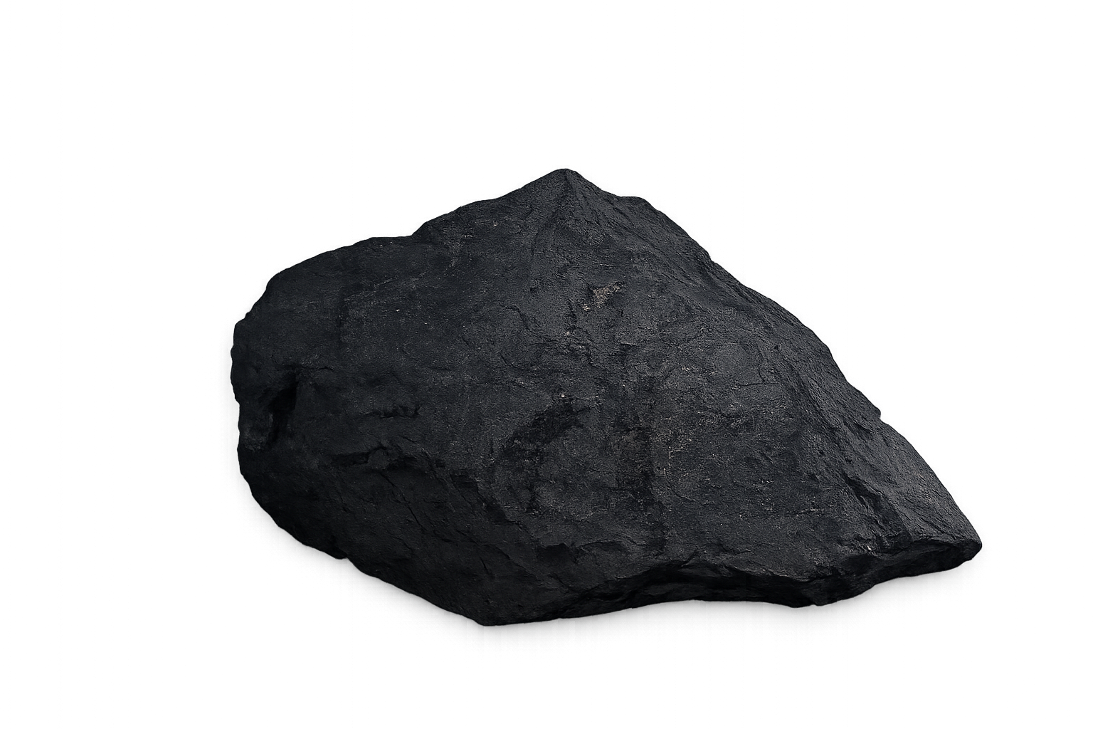 Large Shungite