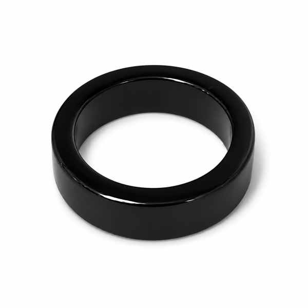 Shungite Ring