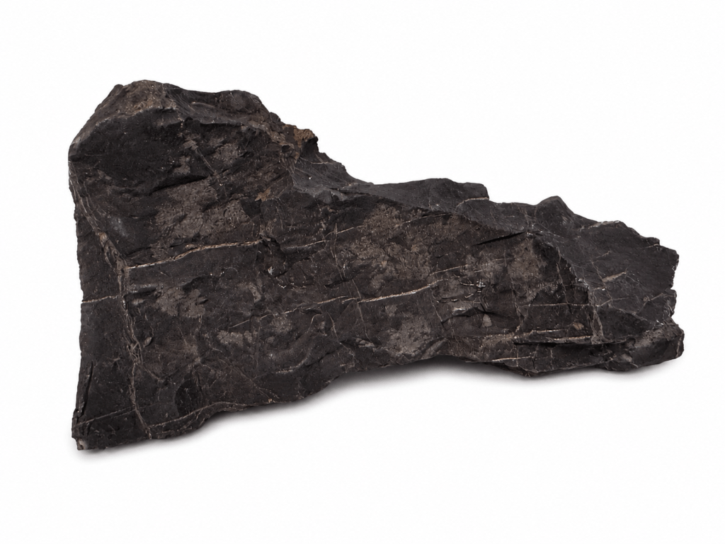 Large Shungite
